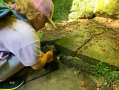 Дольмены Волконские: Там были камни, и они были большие!