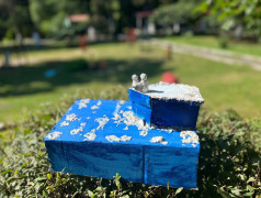 Конкурс "Инсталляция из фильма" в ДОЛ "Экспресс"