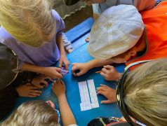 Чух-чух! "Ярмарка железнодорожных профессий" в ДОЛ "Орлёнок"!