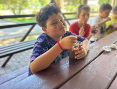 Шоколадный Апокалипсис в "ДОЛ Экспресс"!