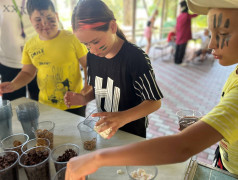 Шоколадный Апокалипсис в "ДОЛ Экспресс"!