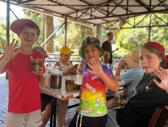 Шоколадный Апокалипсис в "ДОЛ Экспресс"!