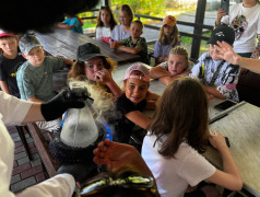 Шоколадный Апокалипсис в "ДОЛ Экспресс"!