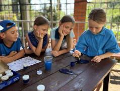 Предупреждение: повышенная концентрация синего в ДОЛ "Экспресс"!