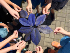 Предупреждение: повышенная концентрация синего в ДОЛ "Экспресс"!