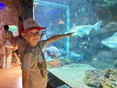 Дельфины пляшут, рыбы в шоке! ДОЛ "Экспресс" берет морские глубины штурмом!