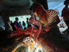 Дельфины пляшут, рыбы в шоке! ДОЛ "Экспресс" берет морские глубины штурмом!