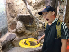 Дельфины пляшут, рыбы в шоке! ДОЛ "Экспресс" берет морские глубины штурмом!