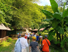 Древний камень против Чудо-Красотки: ДОЛ "Экспресс" выбрал дружбу!