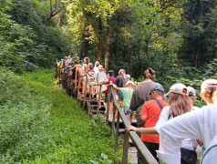 Древний камень против Чудо-Красотки: ДОЛ "Экспресс" выбрал дружбу!