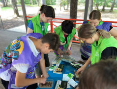 "Кольца защиты": Юные агрономы выращивают микрозелень!