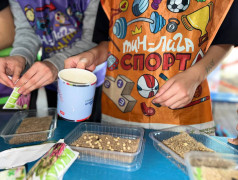 "Кольца защиты": Юные агрономы выращивают микрозелень!