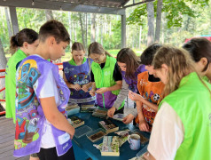 "Кольца защиты": Юные агрономы выращивают микрозелень!