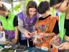 "Кольца защиты": Юные агрономы выращивают микрозелень!