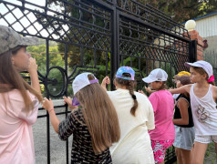 "Вертушка" в лагере: Узнай все за час, или мы скормим тебя комарам! (Ну, почти!)