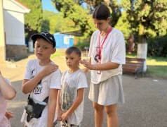 В ДОЛ &laquo;Экспресс&raquo; Тимбилдинг: От &laquo;Ненавижу вас всех&raquo; до &laquo;Мы &ndash; банда!&raquo; за один день.
