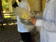 В ДОЛ "Экспресс" прошла сладкая феерия! 