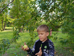 Настоящее волшебство: Открывая мир заново вдали от гаджетов  
