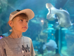 ДОЛ "Экспресс": Мы не "Подводная братва", но дельфины у нас круче!