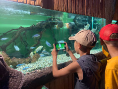 ДОЛ "Экспресс": Мы не "Подводная братва", но дельфины у нас круче!