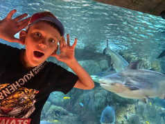 ДОЛ "Экспресс": Мы не "Подводная братва", но дельфины у нас круче!