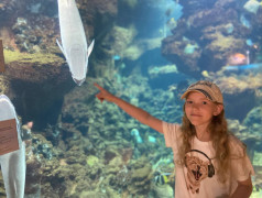 ДОЛ "Экспресс": Мы не "Подводная братва", но дельфины у нас круче!