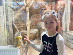 ДОЛ "Экспресс": Мы не "Подводная братва", но дельфины у нас круче!