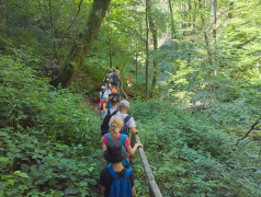 "Волконский Дольмен: Секреты Камня Не Раскрыты, Но Фоточки Классные!"