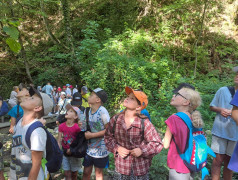 "Волконский Дольмен: Секреты Камня Не Раскрыты, Но Фоточки Классные!"