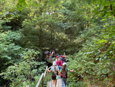 "Волконский Дольмен: Секреты Камня Не Раскрыты, Но Фоточки Классные!"