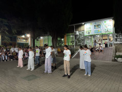 В ДОЛ "Экспресс" клонировали звезд! Леди Гага и Артур Пирожков в одном флаконе!