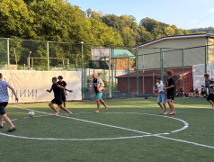 "Дурбол-Экспресс: Уклоняйся от вожатых на полной скорости!"