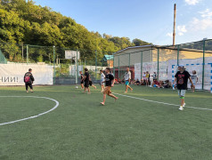 "Дурбол-Экспресс: Уклоняйся от вожатых на полной скорости!"