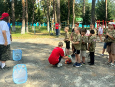 День железнодорожника в "Зелёном Огоньке": Вместе отдыхаем, вместе узнаем, вместе растём!