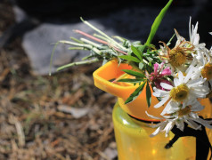 Большой пикник в ДОЛ &laquo;Серебряный бор&raquo; 