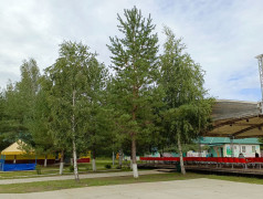 Моя малая родина - ДОЛ имени Лизы Чайкиной