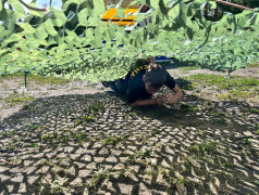 Железнодорожный вызов