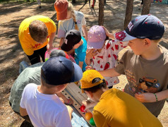 Большое приключение юных железнодорожников 