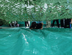 Железнодорожный ВЫЗОВ