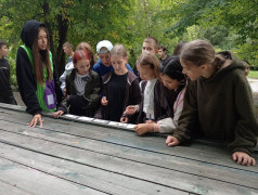 Динамичный квест &laquo;ЖД Вызов&raquo;