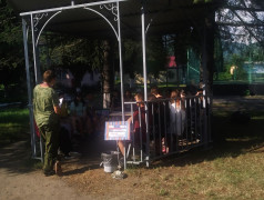 12 НАПРАВЛЕНИЙ ДЕЯТЕЛЬНОСТИ РОССИЙСКОГО ДВИЖЕНИЯ ДЕТЕЙ И МОЛОДЕЖИ &laquo;ДВИЖЕНИЕ ПЕРВЫХ&raquo;