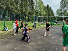 18 день | 3 смена