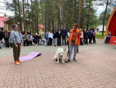 Поисково-спасательный отряд &laquo;ЛизаАлерт&raquo;