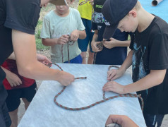 "Семья &ndash; это наше всё: о ценностях, которые нас объединяют"