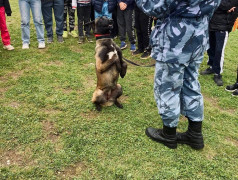 13 день | 4 смена