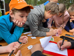 &laquo;Железнодорожный Вызов&raquo;: Стратегия и Команда в Одном Поезде!