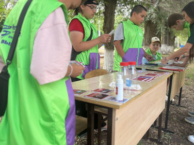 Тин-Лига в деле