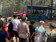 Тренировочные учения