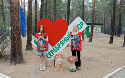 Звездочки медиа-клуба