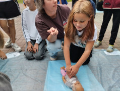 Нет ничего дороже человеческой жизни